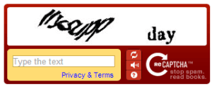 Recaptcha example